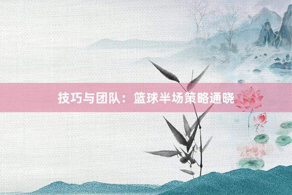 技巧与团队：篮球半场策略通晓